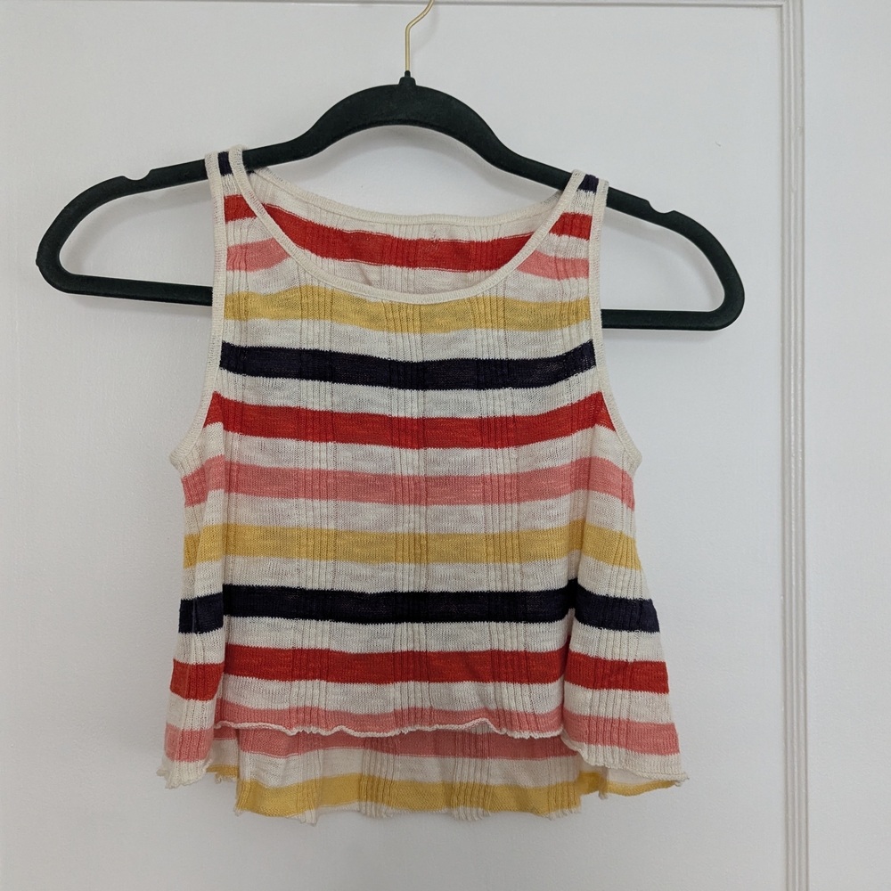 Striped Multicolor Crop Top